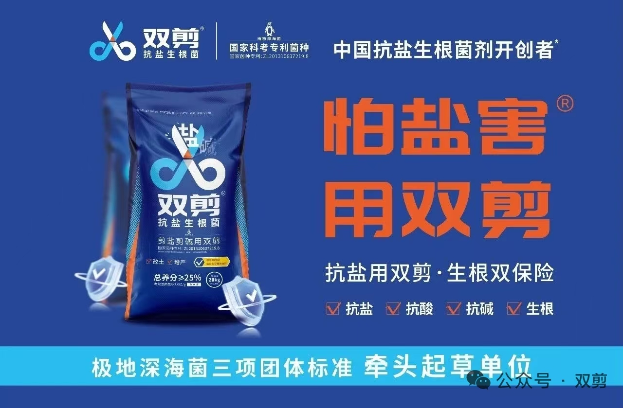 双剪深海菌